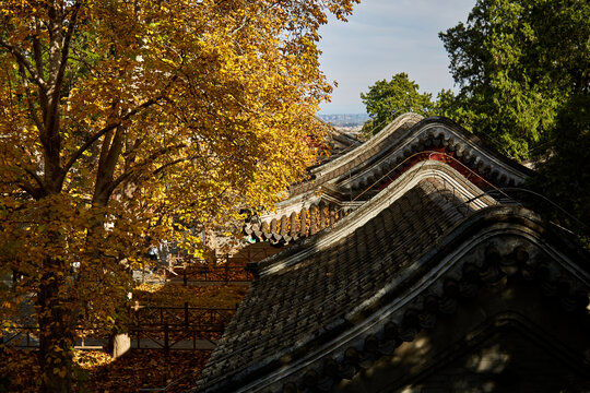 北京市香山公园秋色