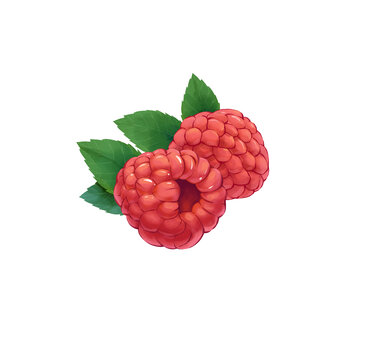 樹莓