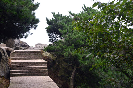 登山台阶