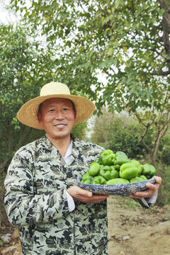 手里拿着新鲜青圆椒