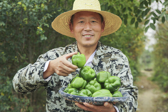 手里拿着新鲜青圆椒