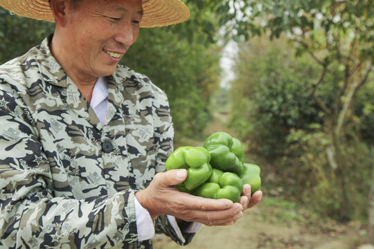 手里拿着新鲜青圆椒