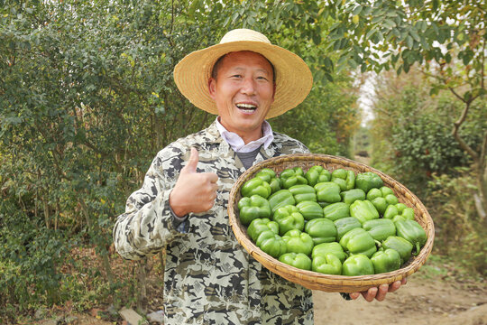 手里拿着新鲜青圆椒