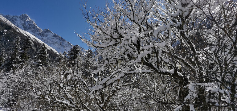 雪景风光