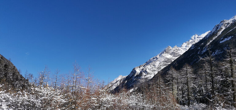 雪景风光