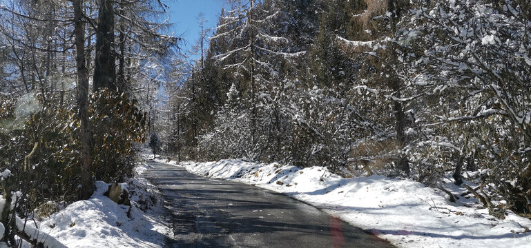 雪景风光