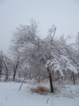 下雪