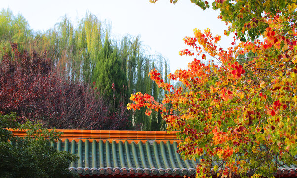 仿古屋顶