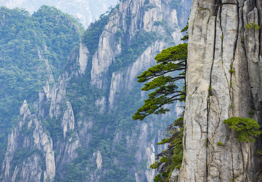 安徽黄山风景区自然风光