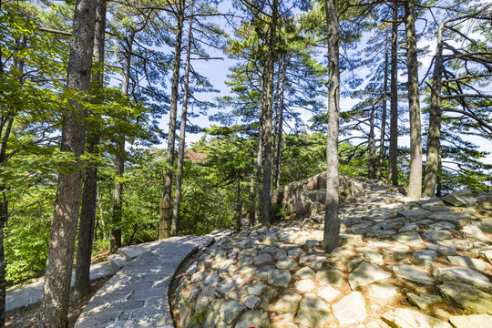 黄山自然风景区的山间通道