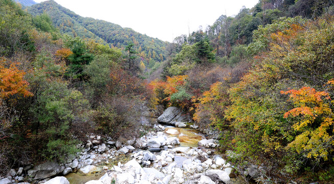 山水风景