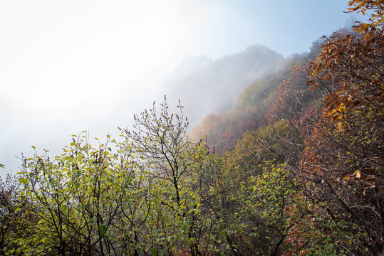 西安嘉午台风景区