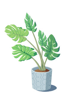 綠植盆栽