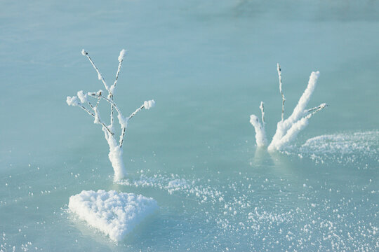 冰面树枝树挂