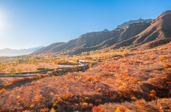 北京昌赤路的秋景