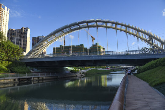 深圳新洲河红树碧道