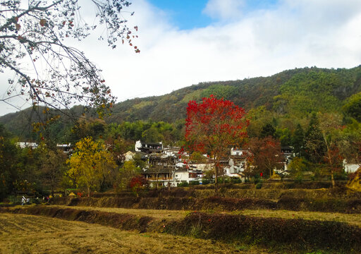 徽州秋景