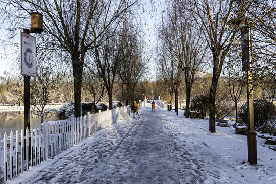 雪后的中国长春南湖公园风景