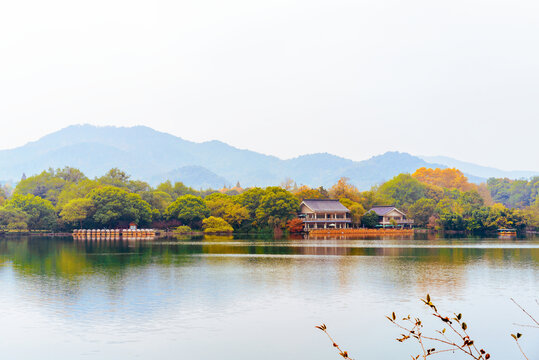 杭州西湖花港观鱼秋景