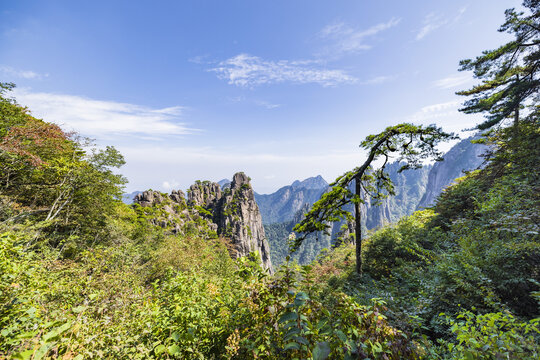 安徽黄山风景区自然风光