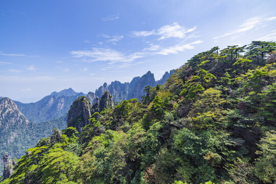 安徽黄山风景区自然风光