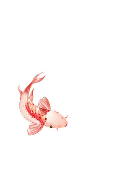 手繪國潮風(fēng)錦鯉鯉魚插畫