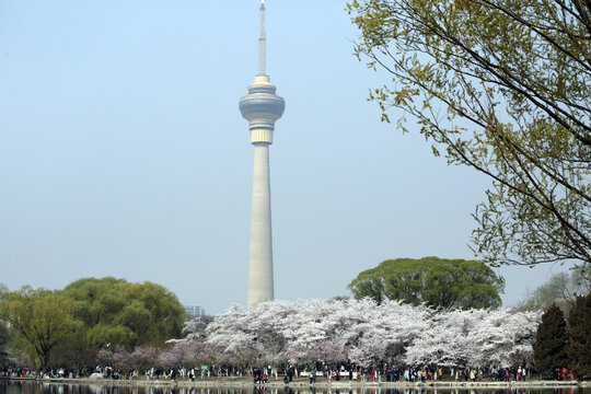 北京中央广播电视塔