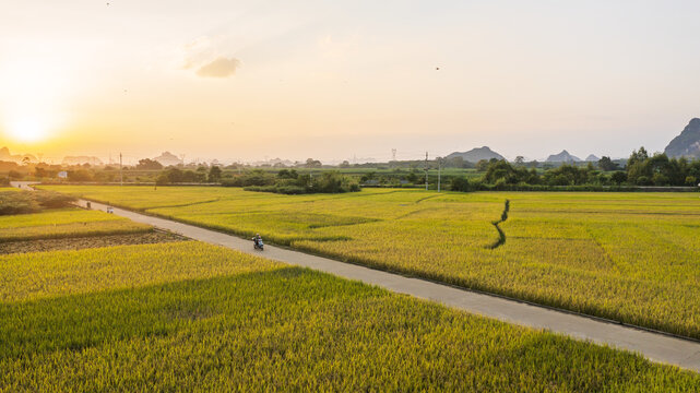 秋季田园