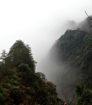 晨雾明月山