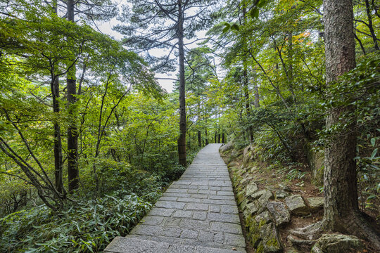 黄山自然风景区的山间通道