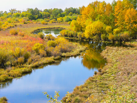 秋季多彩湿地