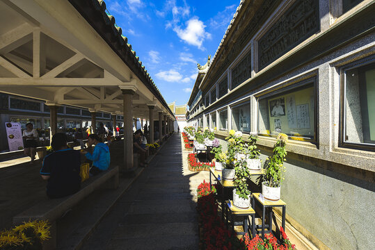 厦门集美鳌园菊花展览