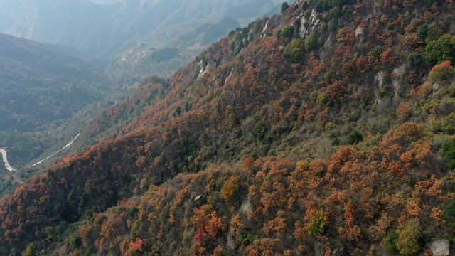 航拍秦岭秋天景色