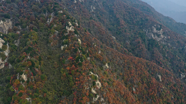 航拍秦岭山脉秋景蓝关古道