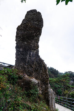 羊狮幕