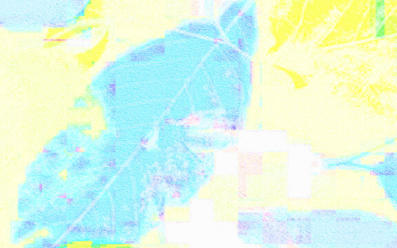葉子設(shè)計
