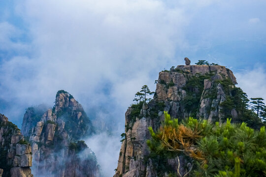 黄山云雾