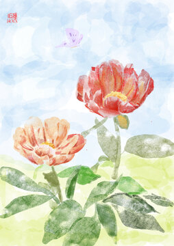 姊妹芍藥花插畫