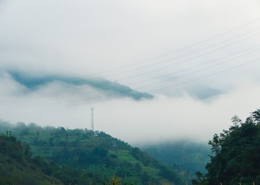 高山云雾