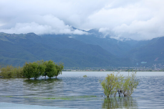 丽江拉市海湿地公园