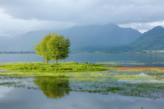 丽江拉市海湿地公园