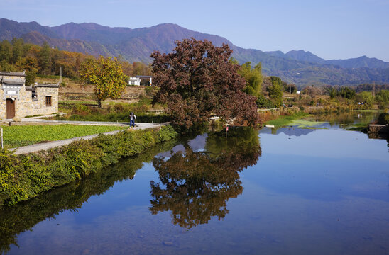 安徽黄山塔川