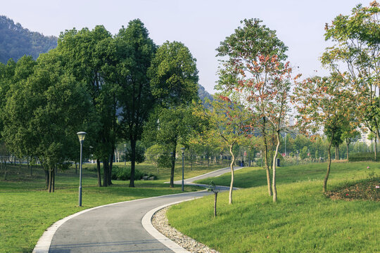 湖北宜昌市五陇湿地美景