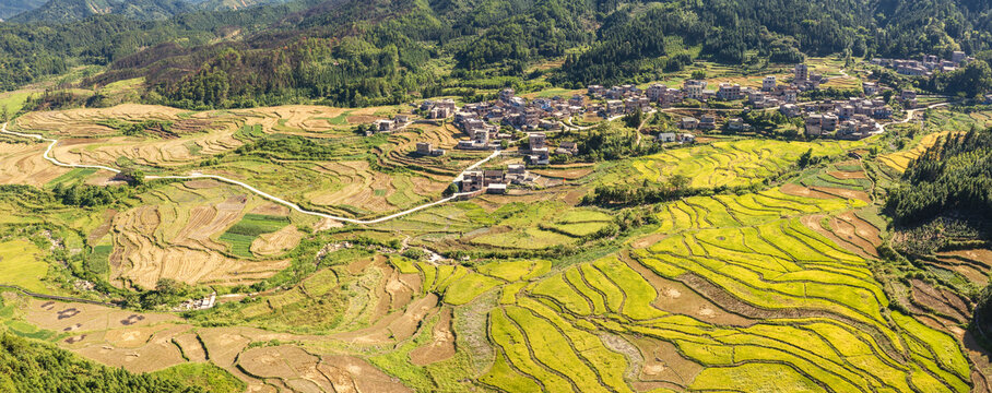 钟山小岷梯田