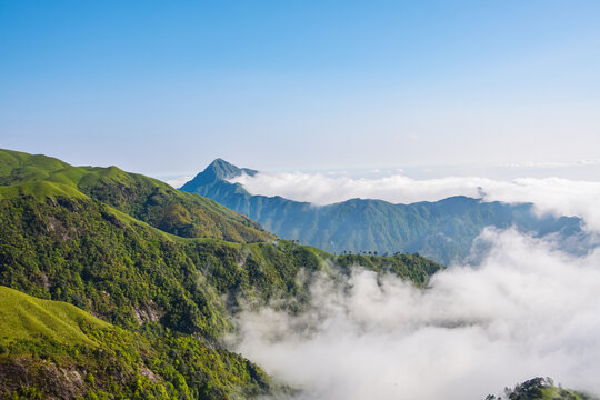 高山云海