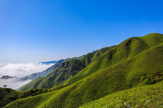 高山云海