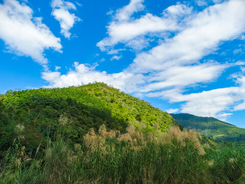 哀牢山风光