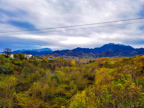 田园风光