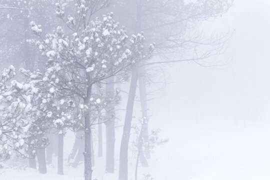 丽江玉龙雪山冬雪