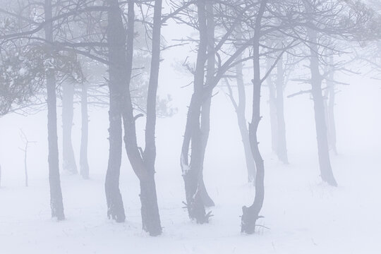 丽江玉龙雪山冬雪